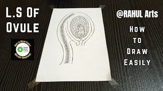 How to draw LS of Ovule RAHULArtsBiology [upl. by Shanly664]