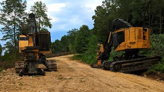 Tigercat LX830E amp LX830C A years worth of logging for Metzler Forest Products [upl. by Niessuh]