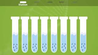 Magnetic bead RNADNA extraction Kit [upl. by Eitsyrhc]