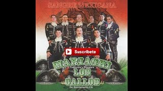 Mariachi Los Gallos  El Michoacano [upl. by Barton]