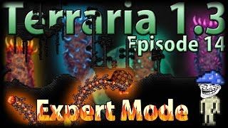 Terraria 13 Expert Mode  Episode 14  Trolls And Douchebags [upl. by Baird573]