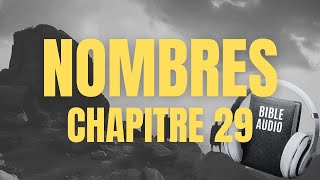 NOMBRES 29  LA BIBLE AUDIO avec textes [upl. by Dru]