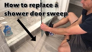 Dad Replaces Shower Door Sweep [upl. by Yrokcaz]