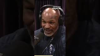 MIKE TYSON with JOE ROGAN Talks About Boxing And Fighting And Mindset miketyson mike jre podcast [upl. by Aicinod601]