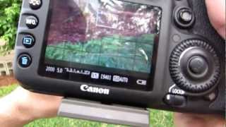 Canon EF 28135mm f3556 IS Test Footage and Review [upl. by Middle862]