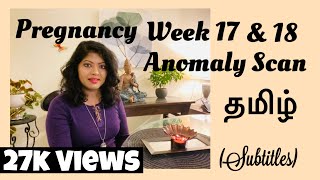 Pregnancy week 17 Tamil  Week 18 Pregnancy in Tamil  Anomaly Scan Tamil  Anatomy Scan Tamil [upl. by Till962]