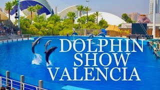 Dolphin Show Valencia  Oceanografic 2018 [upl. by Assin276]