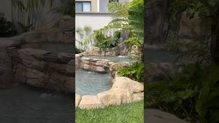 soloenevergreenjardineria woodworking tutorialesdejardineria aprendeencasa jardinencasa 2024 [upl. by Nilahs]