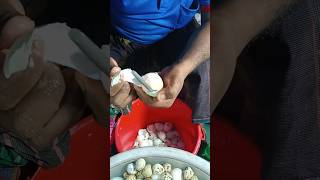 Egg masala with eggs Healthy Food Boiled Egg With Cow Milk Extreme Egg Peel  Nayem food tubi [upl. by Dahl]