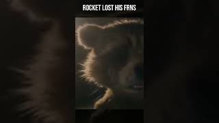 Rocket’s backstory Guardians of the Galaxy rocket gardiansofthegalaxy [upl. by Nuhs]