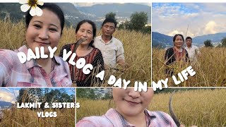 PaddyRiceHarvesting harvestingrice villagevlog lakmitkarthak9674 [upl. by Haas]