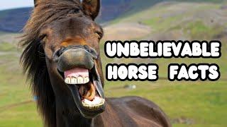 JawDropping Facts About Horses You Didnt Know [upl. by Verney]