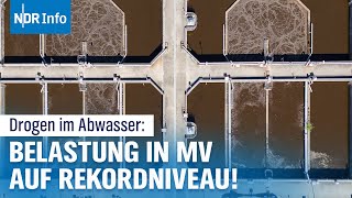 Speed Kokain und andere Drogen im Abwasser Konsum in MV erreicht BerlinerNiveau  NDR Info [upl. by Parris]