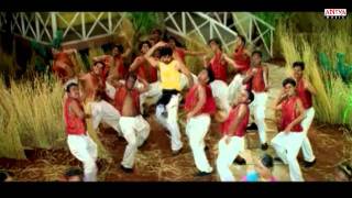 Bhadra Video Songs  Erra Koke Song  Ravi tejaMeera jasmine [upl. by Oriaj904]