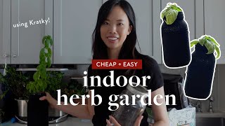 How to Make an Indoor Herb Garden Using Kratky Mason Jars cheap  easy hydroponics [upl. by Yaakov]