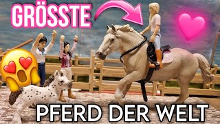 Das größte Pferd der WELT🌏🐴Kommt zu UNS😱💗 [upl. by Anaihsat]