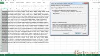 Separar Textos En Distintas Columnas de Excel [upl. by Ylnevaeh]