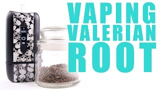 Vaping Valerian Root in Your Ascent Vaporizer  You Can Vape What [upl. by Hadwin]