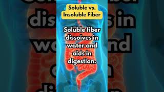 Soluble vs Insoluble Fiber [upl. by Scheld]