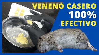 Veneno para Ratas y Ratones Casero con Acido Bórico [upl. by Suidualc332]