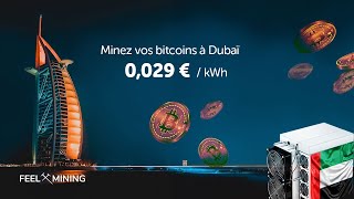 Direction Dubaï pour miner du Bitcoin 🚀 [upl. by Sirdi]