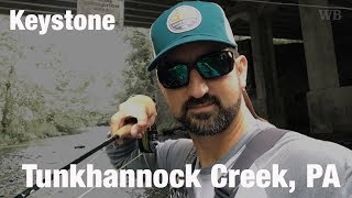 Fly Fishing Keystone Select South Branch Tunkhannock Creek PA  Wooly Bugged [upl. by Odirfliw636]