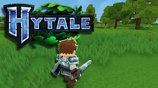 Whats Next For Hytale [upl. by Eadrahc]