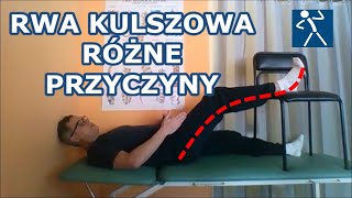 Jakie są przyczyny rwy kulszowej Co może uciskać nerw kulszowy Przyczyny objawy i terapia I 🇵🇱 🇪🇺 [upl. by Eustis]