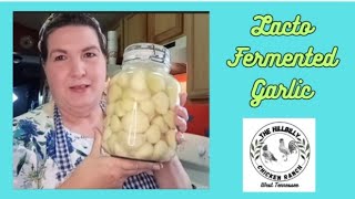 My First Time Making LactoFermented Garlic lactofermentedgarlic [upl. by Hodges]