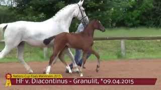 KN 07 HF von Diacontinus  Granulit [upl. by Arah]