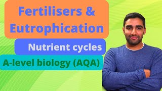 Fertilisers and Eutrophication  Nutrient cycles  Alevel Biology [upl. by Jovi125]