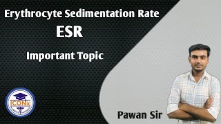 ESR  Erythrocyte Sedimentation Rate  Important topic  What Does This Lab Test Really Mean Pawan [upl. by Asante]