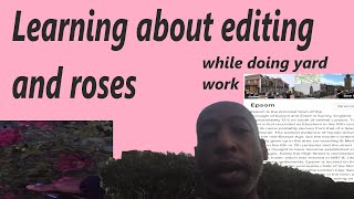 Learning about editing and roses while doing yard work [upl. by Adlai]