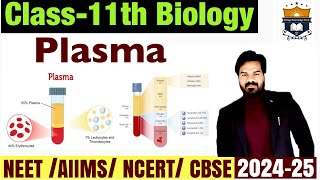 Plasma  Components of Blood  what is plasma  Body Fluids And Circulatuon class 11  Biology NEET [upl. by Nytsud]