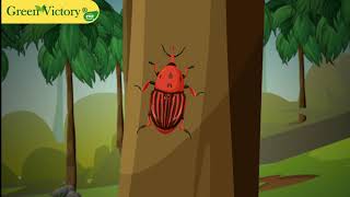 RED PALM WEEVIL RHYNCHOPHORUS FERRUGINEUS PHEROMONE amp TRAP BY GREENVICTORY® [upl. by Nekciv]