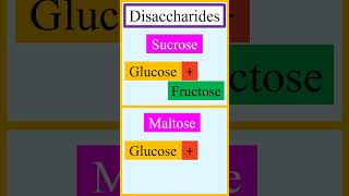 Monomer units of disaccharides sucrose lactose maltose and cellobiose chemistry [upl. by Ilenna]