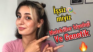 Moleküler biyoloji ve genetik okumak iş imkanları amp Dersler zor mu Akademik kariyer [upl. by Soilissav569]