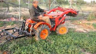 Kubota B6000D trabajando con cultivadores [upl. by Enrahs873]