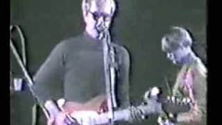 go betweens cattle amp cane live [upl. by Burgess379]