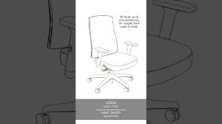 Adjustment Guide Visio Chair [upl. by Nevs]