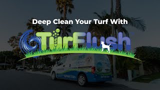 Introducing TurFlush The Ultimate Deep Cleaning for Your Artificial Turf  TurFresh [upl. by Zippel384]