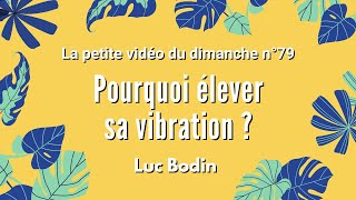 POURQUOI ÉLEVER SA VIBRATION  La petite vidéo du dimanche n°79 [upl. by Osyth]