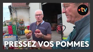 Que faire de vos pommes  les presser pardis [upl. by Nerej]