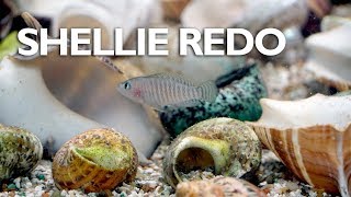 Rescaping with fish in the tank 75g Shellie Tank [upl. by Euqenimod]