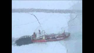 Coast Guard Cutter Healy escorts Russian flagged Tanker deliver fuel [upl. by Shena]