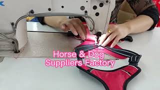 Horse amp Dog Suppliers Factory flymasks PetLeashes PetCollars [upl. by Ramon952]