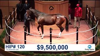 The November Sale 2017 SONGBIRD sells for 95M [upl. by Pavkovic]