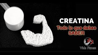 Creatina ¿Que es Como y Cuando tomarla Todo lo que debes saber [upl. by Selima778]