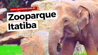 ESTAMOS AO VIVO NO ZOOPARQUE ITATIBA [upl. by Aihsenyt]