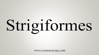 How To Say Strigiformes [upl. by Hahsia]